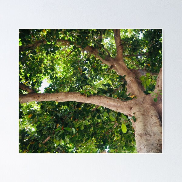 Item preview, Downtown Tree designed and sold by Margaret McNally.