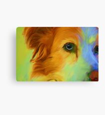 Baxter Canvas Print