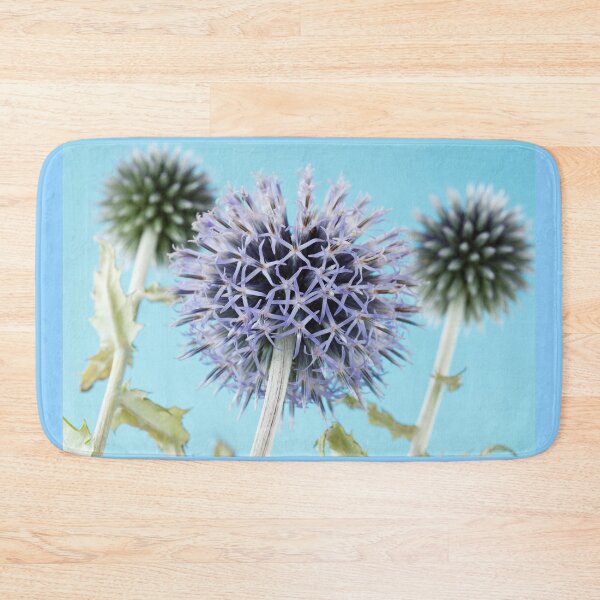 Item preview, Echinops bannaticus  'Blue Globe'  Globe thistle designed and sold by Chris Burrows.