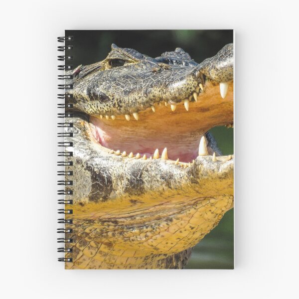 Item preview, Cayman looking for dinner designed and sold by Linda Sparks.