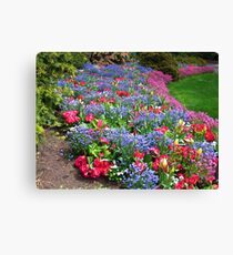 Memories of Late Spring Canvas Print