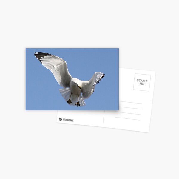 Item preview, Hovering designed and sold by Paulette1021.