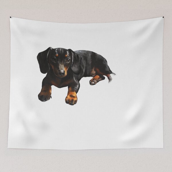 Item preview, Dexter Boy 3 designed and sold by Tom Godfrey.