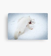 I Win! Canvas Print