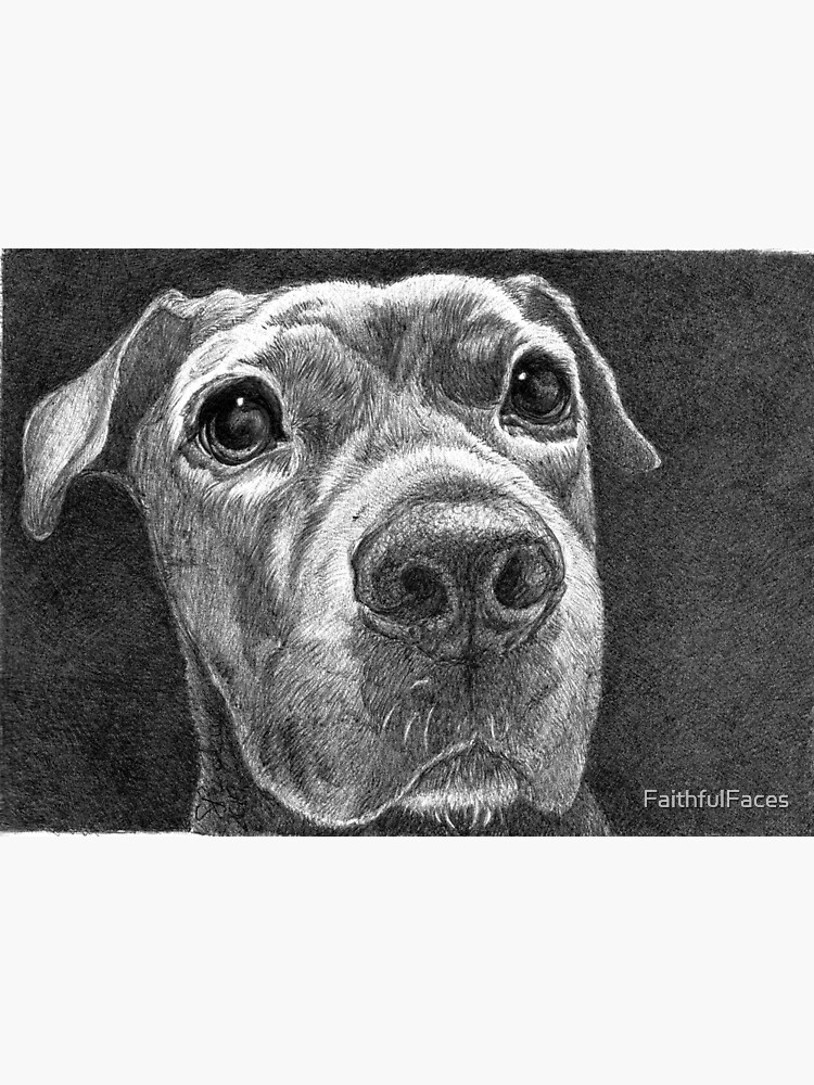 "QUEENIE/ lab mix" Poster for Sale by FaithfulFaces Redbubble