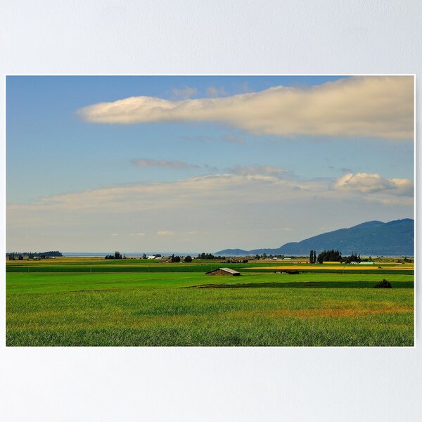 Item preview, Fields of Grain designed and sold by Jay Morgan.