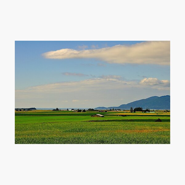 Item preview, Fields of Grain designed and sold by Jay Morgan.