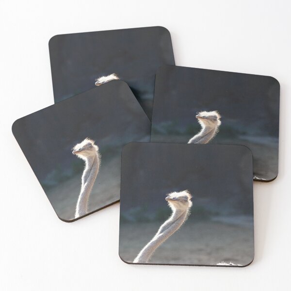 Item preview, Sass designed and sold by Olivia Plasencia.