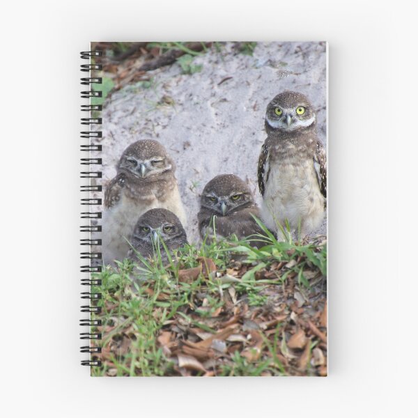 Item preview, Baby Burrowing Owls designed and sold by Rosalie Scanlon.