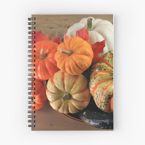 Item preview, Pumpkins and squashes Fall arrangement designed and sold by AlexIPhotograph.