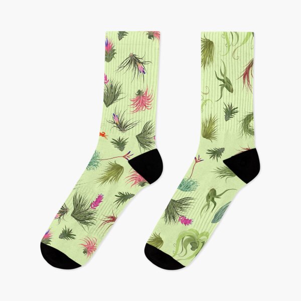 Item preview, Air Plants off white Background designed and sold by Maysoulrose.