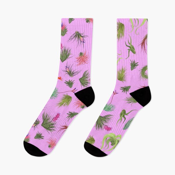 Item preview, Air Plants pink Background designed and sold by Maysoulrose.