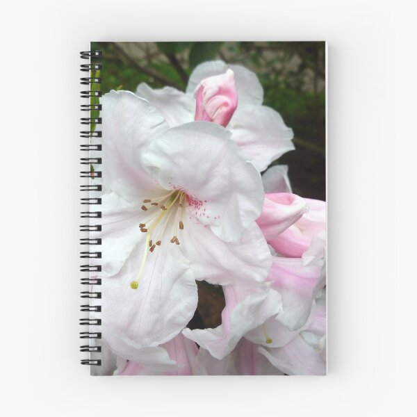 Item preview, WASHINGTON'S "FAIREST-PINK" RHODODENDRON designed and sold by Elaine Bawden.