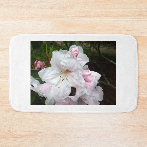 Item preview, WASHINGTON'S "FAIREST-PINK" RHODODENDRON designed and sold by Elaine Bawden.