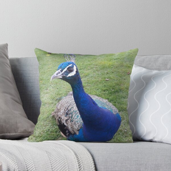 Artikelvorschau, Bunter Pfau entworfen und verkauft von boux.