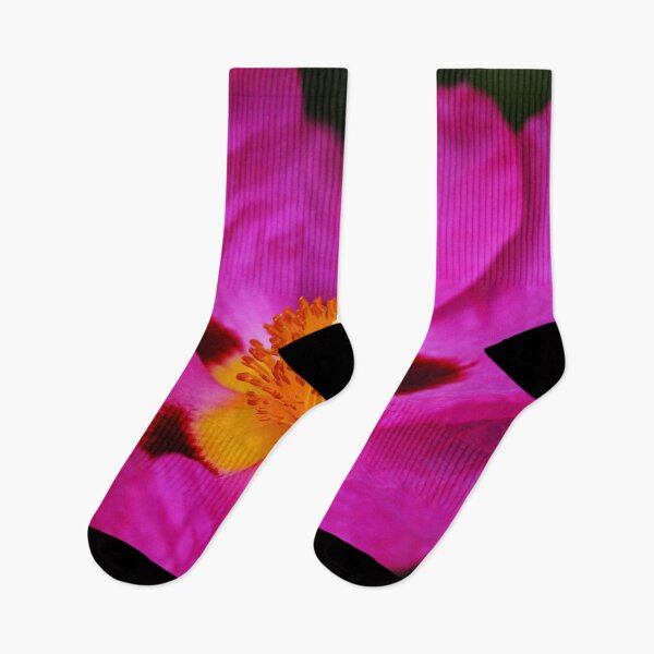 Item preview, Australian Hibiscus  designed and sold by Joy Watson - Natural Light Photography .