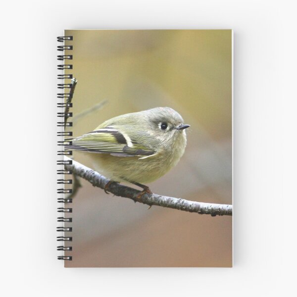 Item preview, Kinglet designed and sold by Enola Gay Wagner.