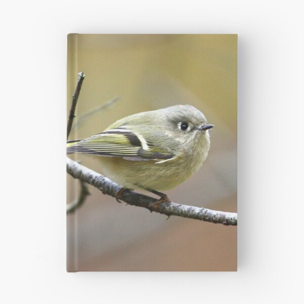 Item preview, Kinglet designed and sold by Enola Gay Wagner.