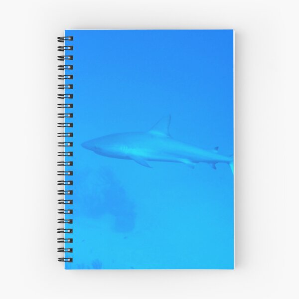 Item preview, Caribbean Reef Shark designed and sold by Amy McDaniel.