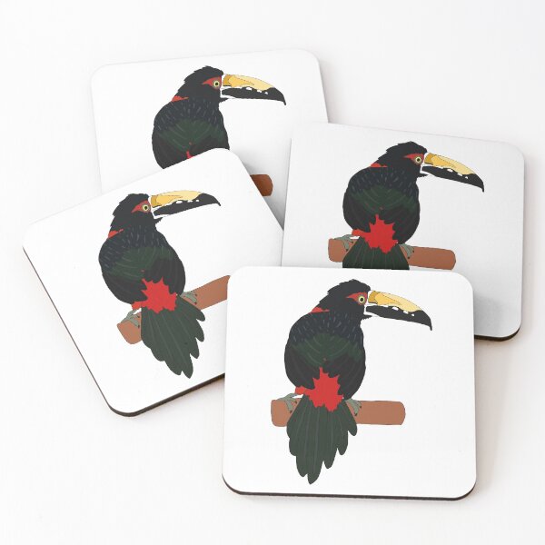 Item preview, Collared Aracari designed and sold by nolessjess.
