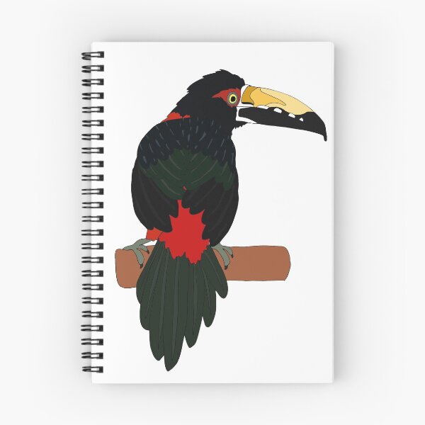 Item preview, Collared Aracari designed and sold by nolessjess.