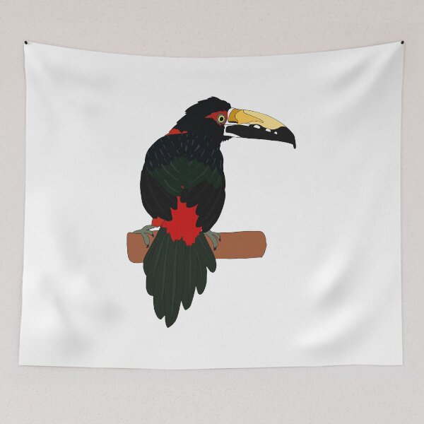 Item preview, Collared Aracari designed and sold by nolessjess.