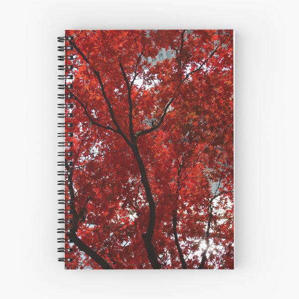 Item preview, Trees Dressed in Their Fall Glory! designed and sold by ALifeSavored.
