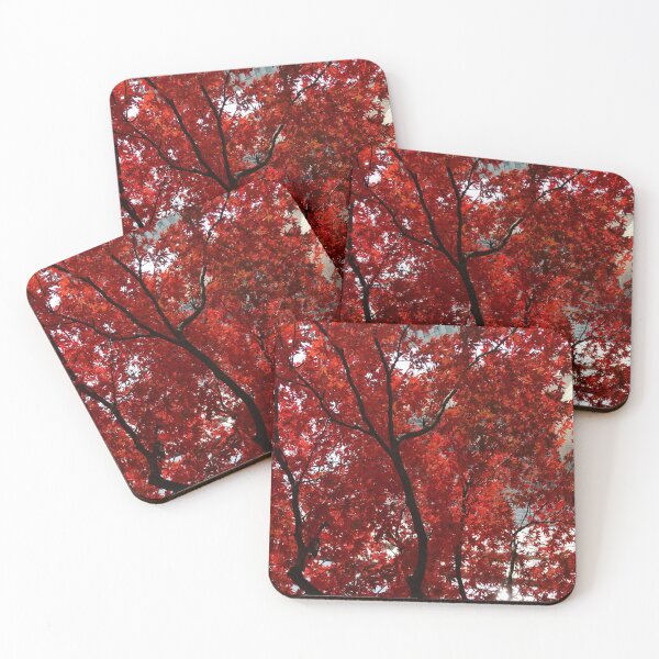 Item preview, Trees Dressed in Their Fall Glory! designed and sold by ALifeSavored.