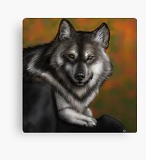 Timber Wolf - Autumnal Canvas Print