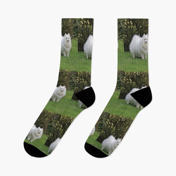 Item preview, Garden Spitz  designed and sold by KarenWoodArt.