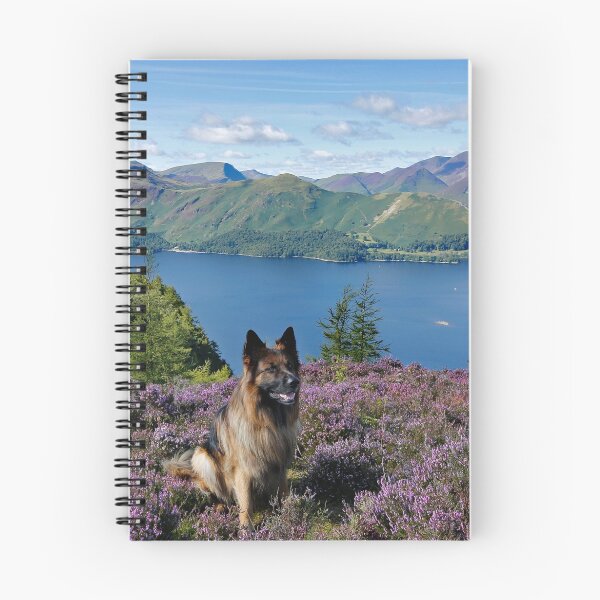 Item preview, A walk through the heather on Walla Crag Derwentwater English Lake District designed and sold by Martin Lawrence.