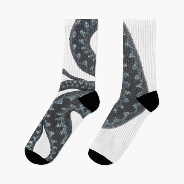 Item preview, Vipera berus, blue designed and sold by Thor  Håkonsen.