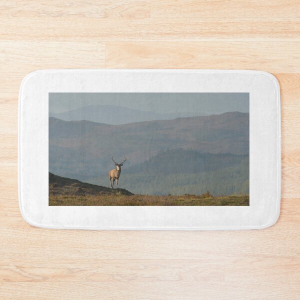 Item preview, Royal Stag in the Highlands designed and sold by Macrae images.