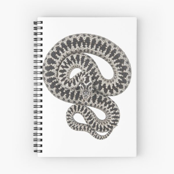 Item preview, Vipera berus, grey designed and sold by Thor  Håkonsen.