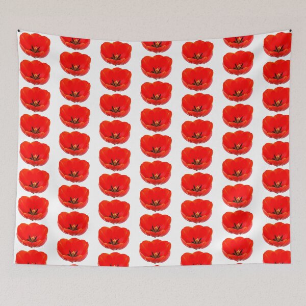 Item preview, Tulipa  'Ad Rem'  Tulip  designed and sold by Chris Burrows.