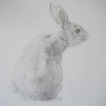 Artwork thumbnail, Wild Rabbit by Dean Harkness Art