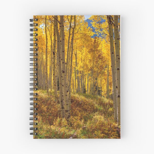 Item preview, Autumn Aspen Forest Aspen Colorado Panorama designed and sold by Rocky Mountain Artistry.