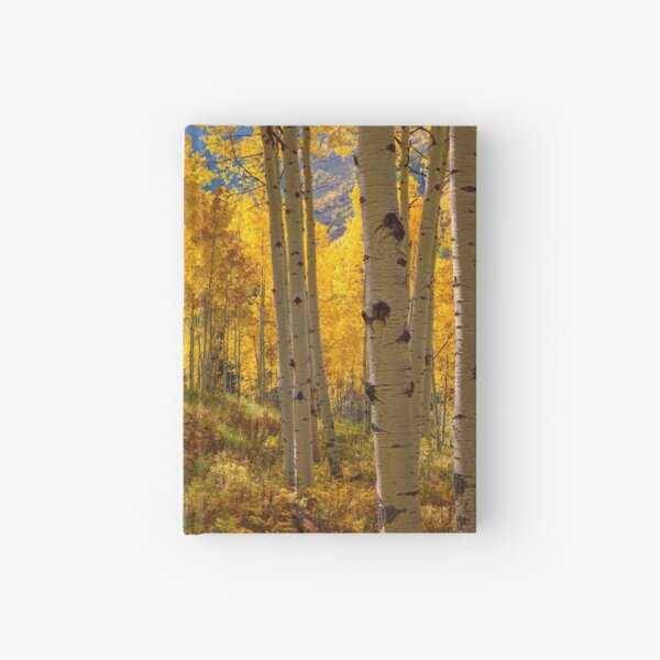 Aperçu de l'œuvre Automne Aspen Forest Aspen Colorado Panorama créée et vendue par Rocky Mountain Artistry.