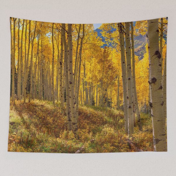 Item preview, Autumn Aspen Forest Aspen Colorado Panorama designed and sold by Rocky Mountain Artistry.