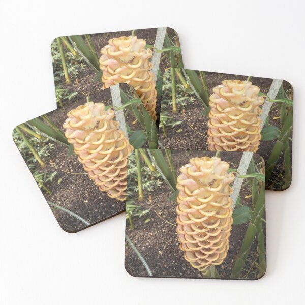 Item preview, Beehive Ginger (Zingiber spectabile) designed and sold by lezvee.