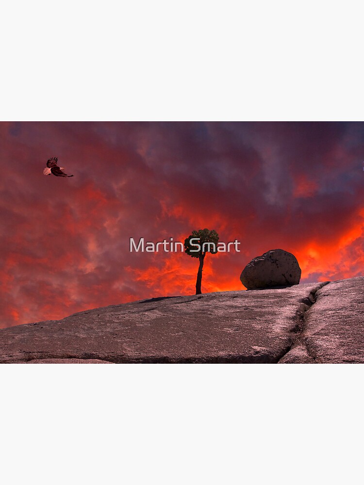 The Passion of Nature by MartinSmart