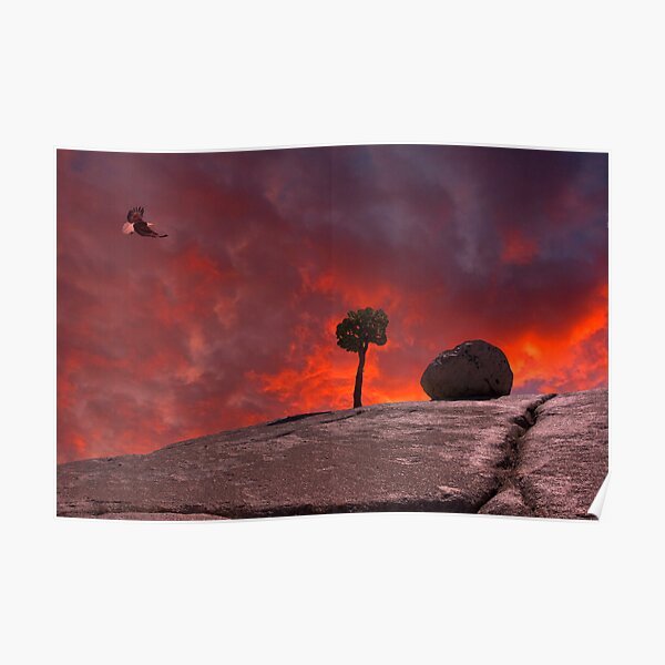 The Passion of Nature Poster
