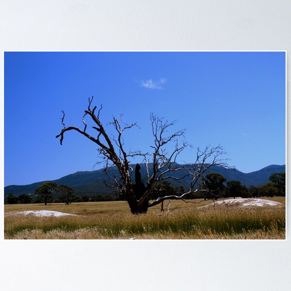 Item preview, mount william designed and sold by fazza.