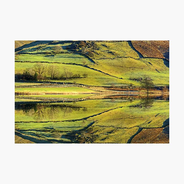 Item preview, An Abstract Of Nature designed and sold by Jamie  Green.