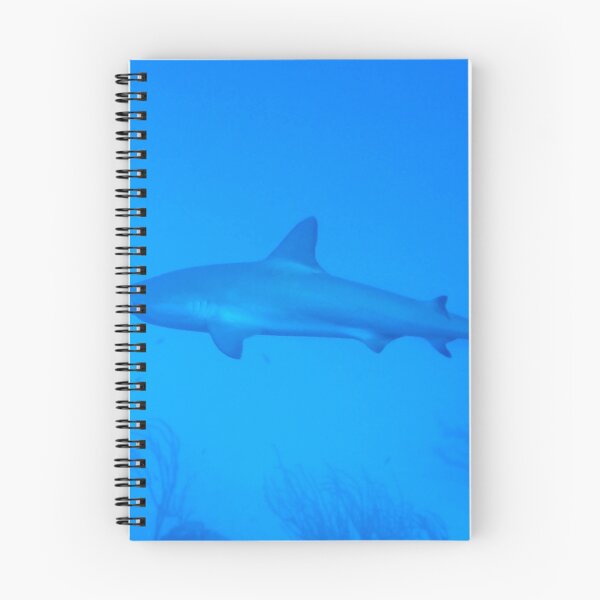 Item preview, Caribbean Reef Shark   designed and sold by Amy McDaniel.