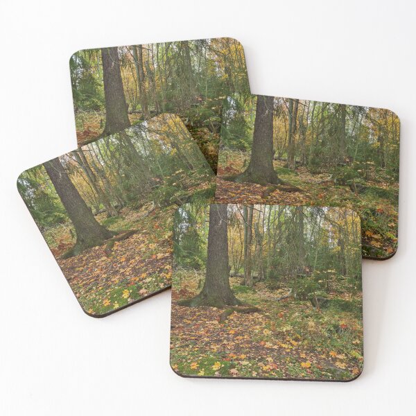 Item preview, Under the fir designed and sold by Jouko Lehto Photography.
