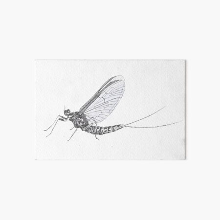 May fly - may not... Art Board Print