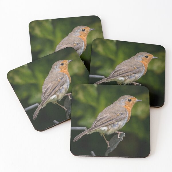 Item preview, Garden Wildlife - Robin designed and sold by Adrian Rowley.