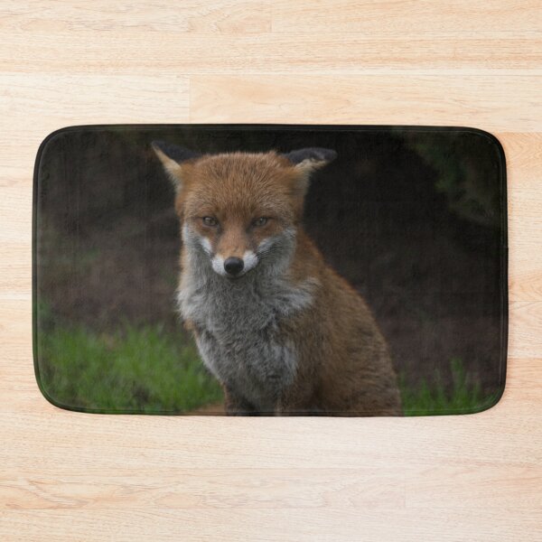 Item preview, The Fox Is Waiting designed and sold by rawshutterbug.