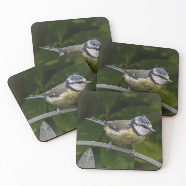 Item preview, Garden Wildlife - Blue Tit designed and sold by Adrian Rowley.